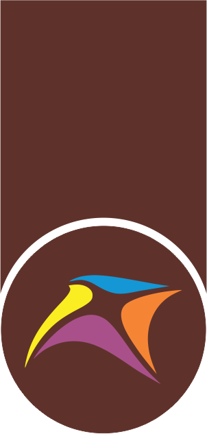 VQUBE Tag